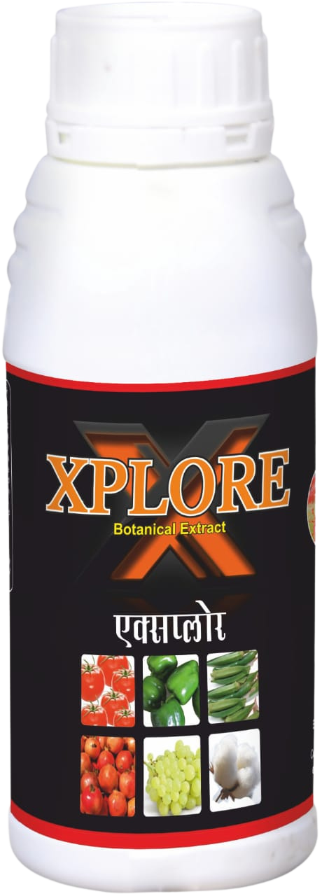Xplore